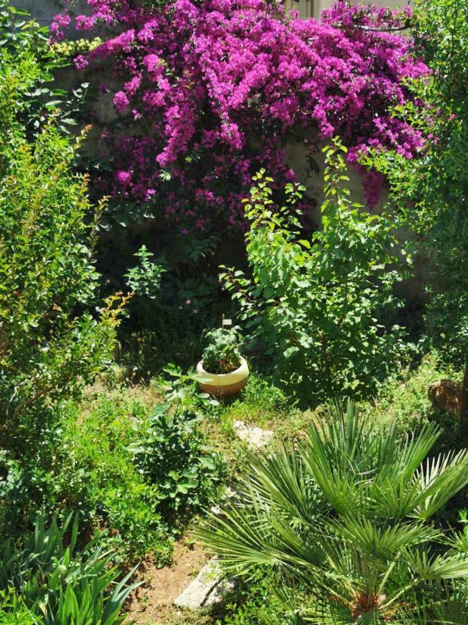 Villa Luka Dubrovnik Dış mekan fotoğraf